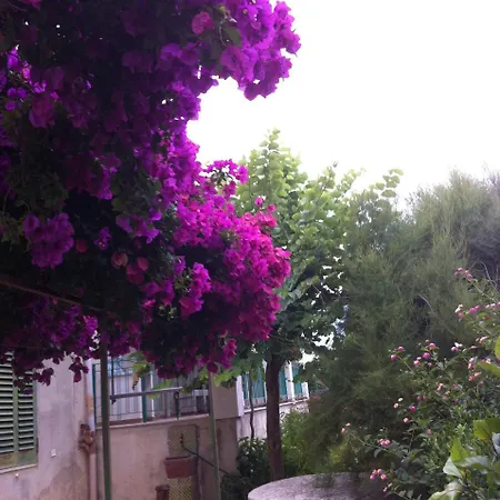 La Fattoria 夏卡