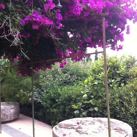 La Fattoria * 夏卡