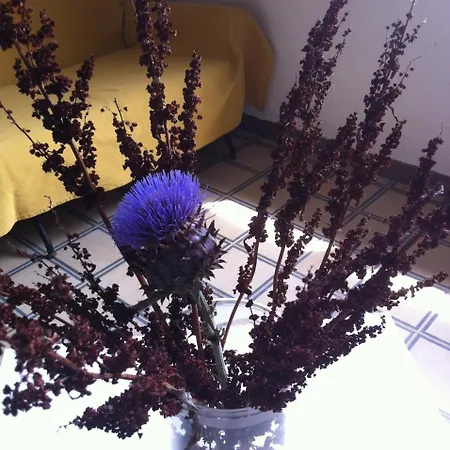 Country house La Fattoria *