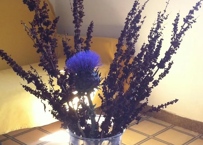 La Fattoria Летний дом Шакка